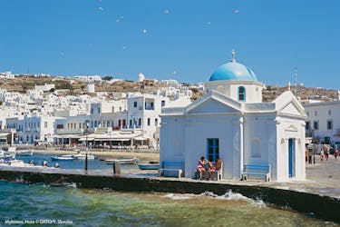 Tour privato accessibile di mezza giornata attraverso Mykonos